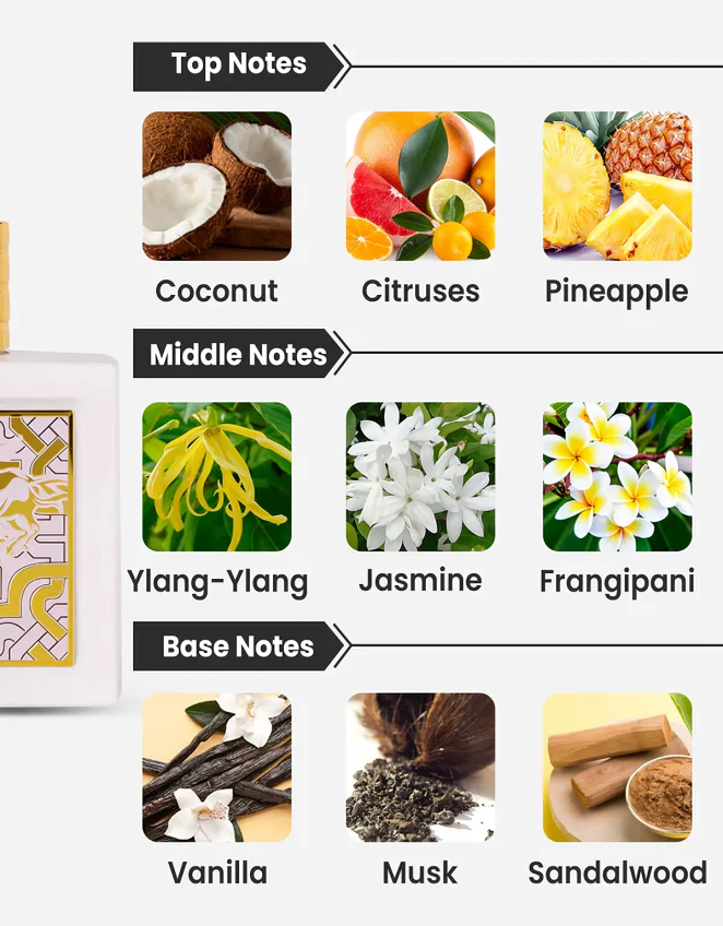 Qaed Al Fursan Unlimited